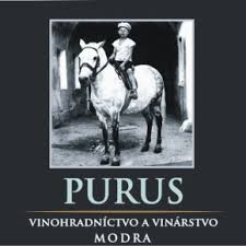 logo Villa Modur Purus